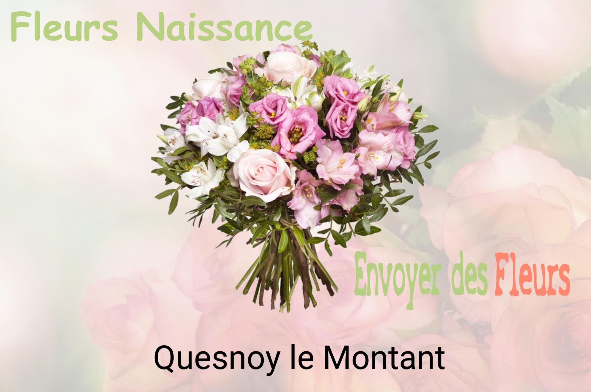 Bouquet de fleurs de naissance livré à Quesnoy-le-Montant